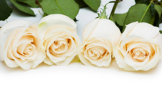 1476588 (a): :2560x1600